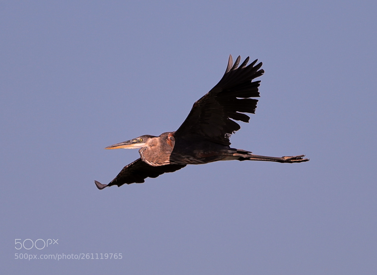 Canon EOS-1D X Mark II sample photo. 06-06-18-0021556.jpg photography