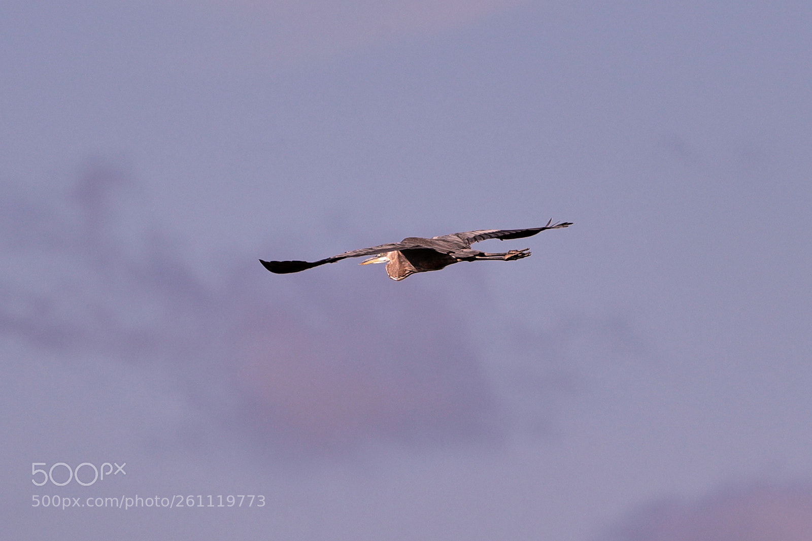 Canon EOS-1D X Mark II sample photo. 06-06-18-0021554.jpg photography