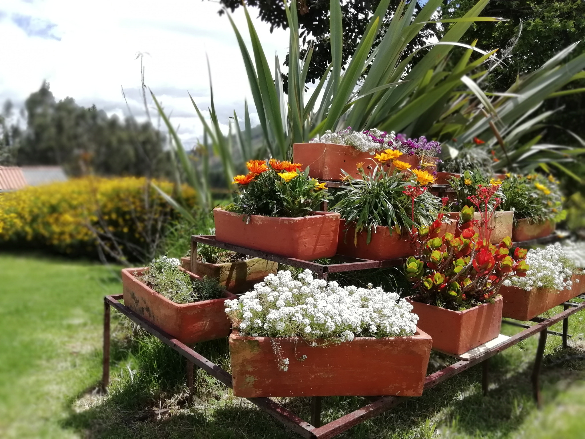 HUAWEI P SMART sample photo. Belleza photography