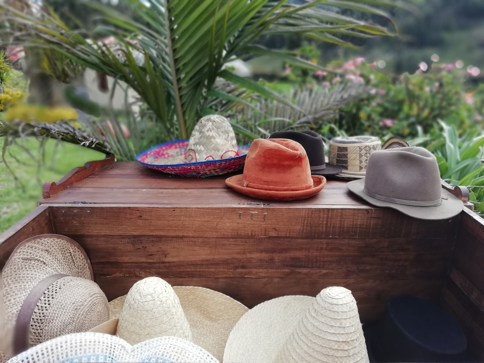 HUAWEI P SMART sample photo. Belleza photography