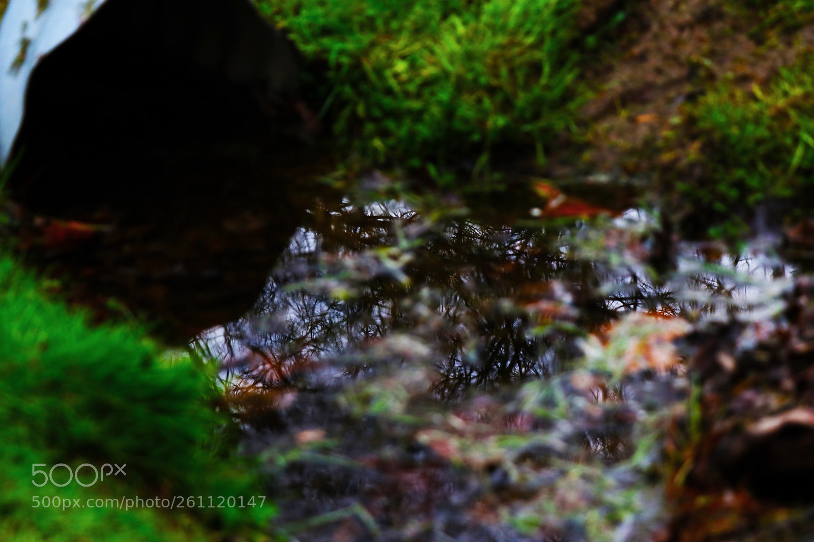 Canon EOS 80D sample photo. Creek reflections  photography