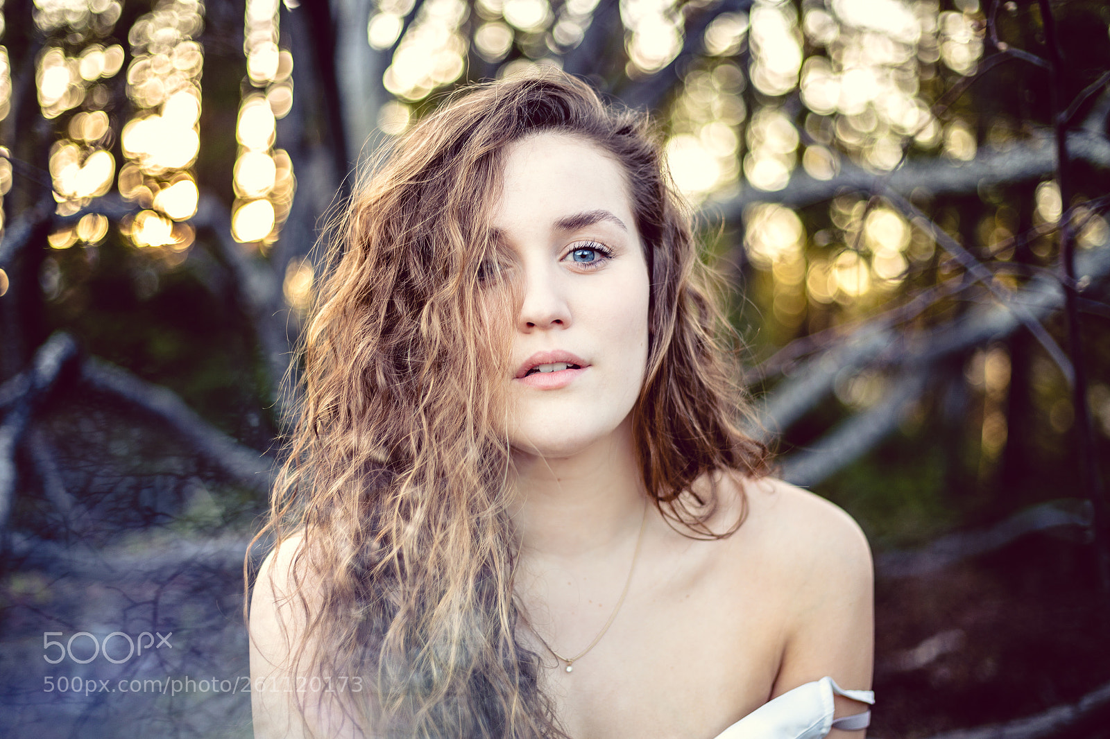 Canon EOS 6D sample photo. Golden trees photography