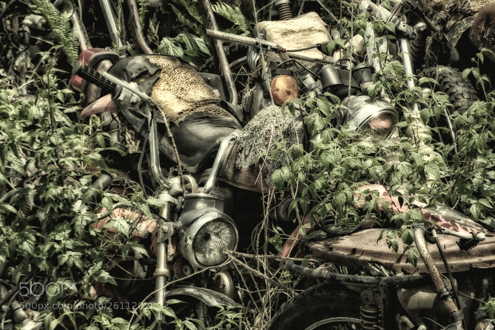 Sony Cyber-shot DSC-HX90V sample photo. Camouflage photography
