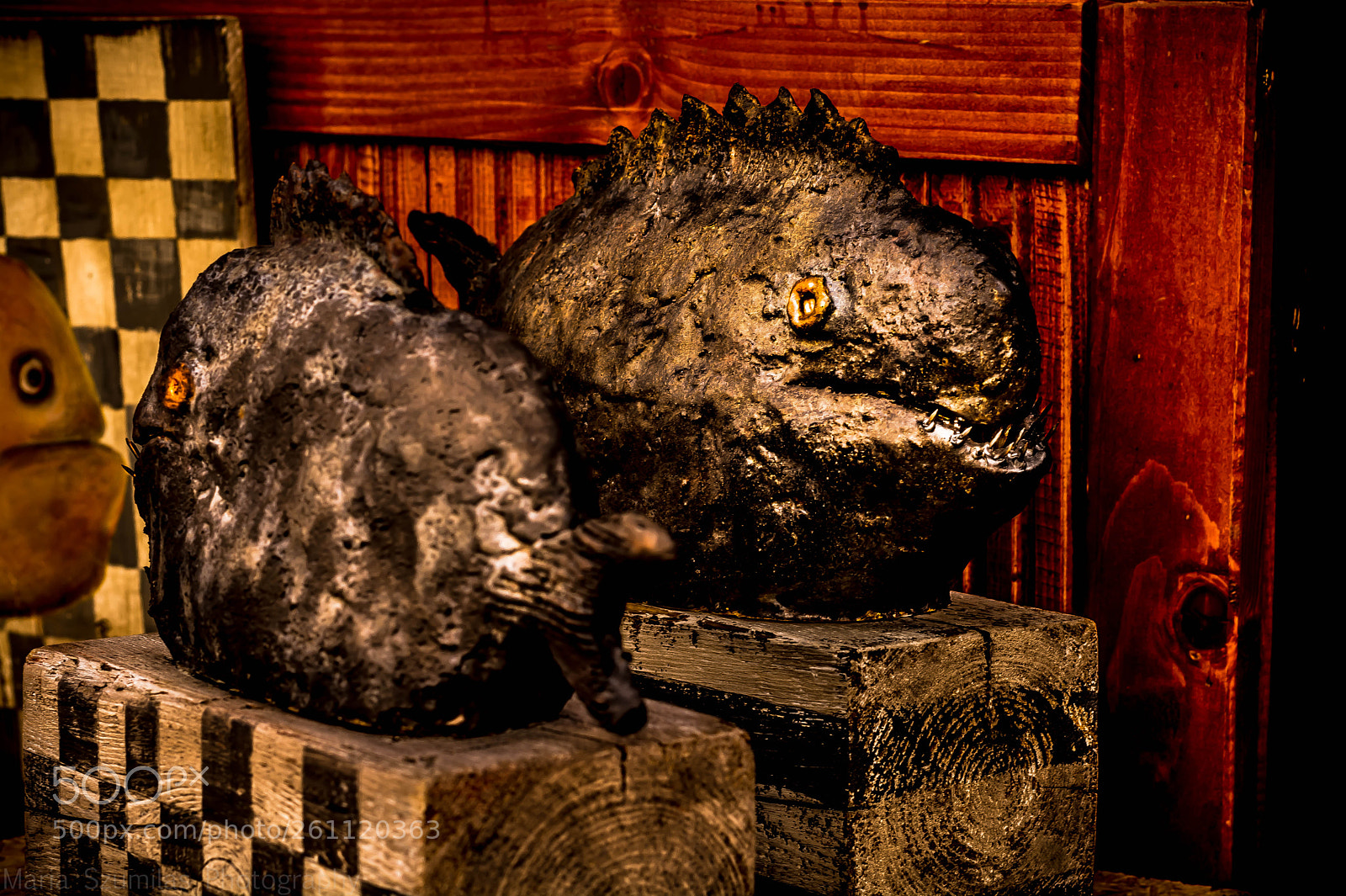 Nikon D7100 sample photo. Amber eye photography