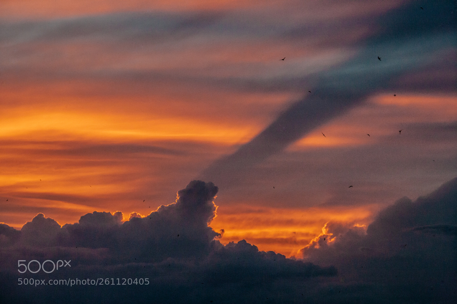 Canon EOS-1Ds Mark II sample photo. Garrigues sunset photography