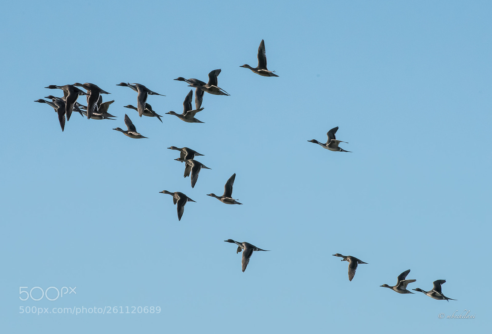 Nikon D810 sample photo. Mbs photography