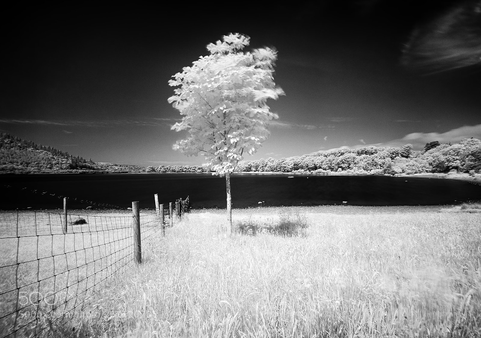 Nikon D200 sample photo. Bassenthwaite lake infared 720nm photography