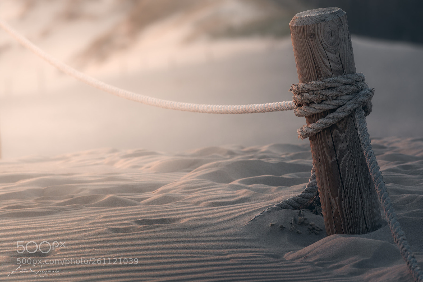 Nikon D7100 sample photo. Knotted photography