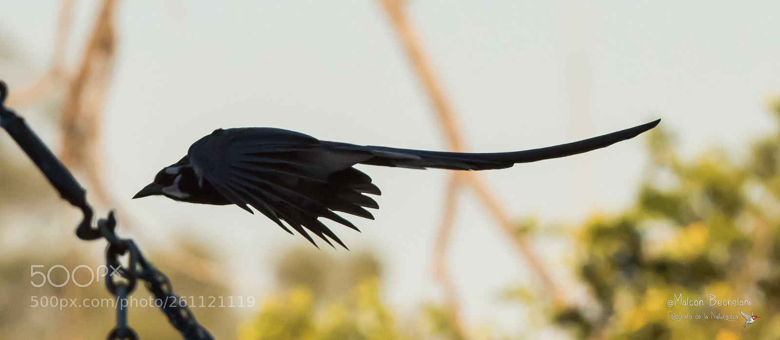 Nikon D810 sample photo. Mbs photography