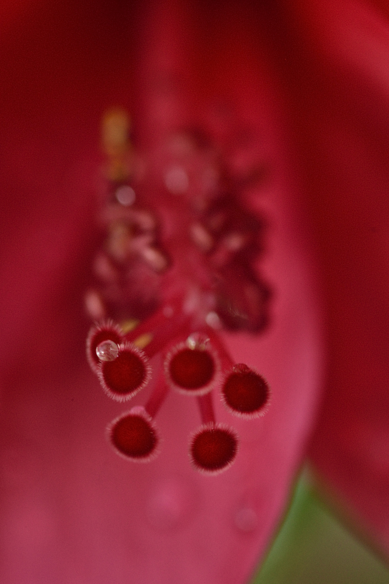 Nikon D5100 sample photo. Attractive... photography