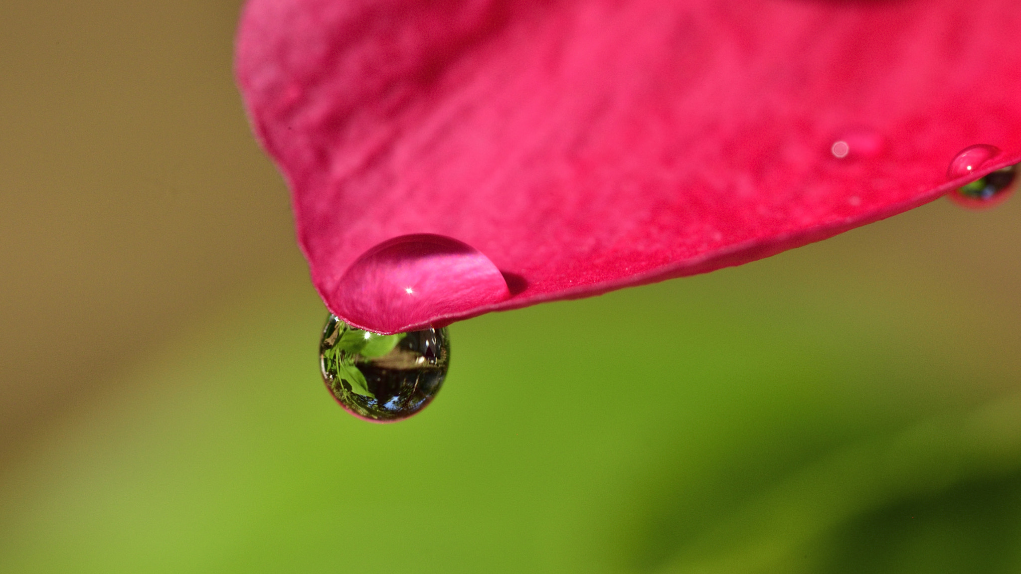 Nikon D5100 sample photo. Me within me... photography