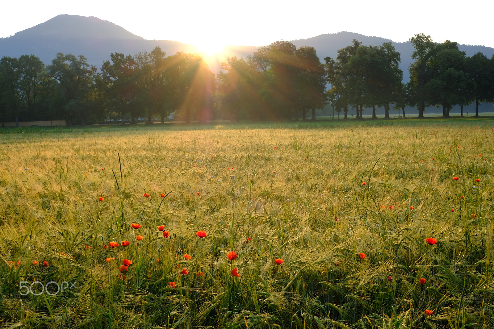 Fujifilm X-E3 sample photo. Sunrise in salzburg - hellbrunn photography