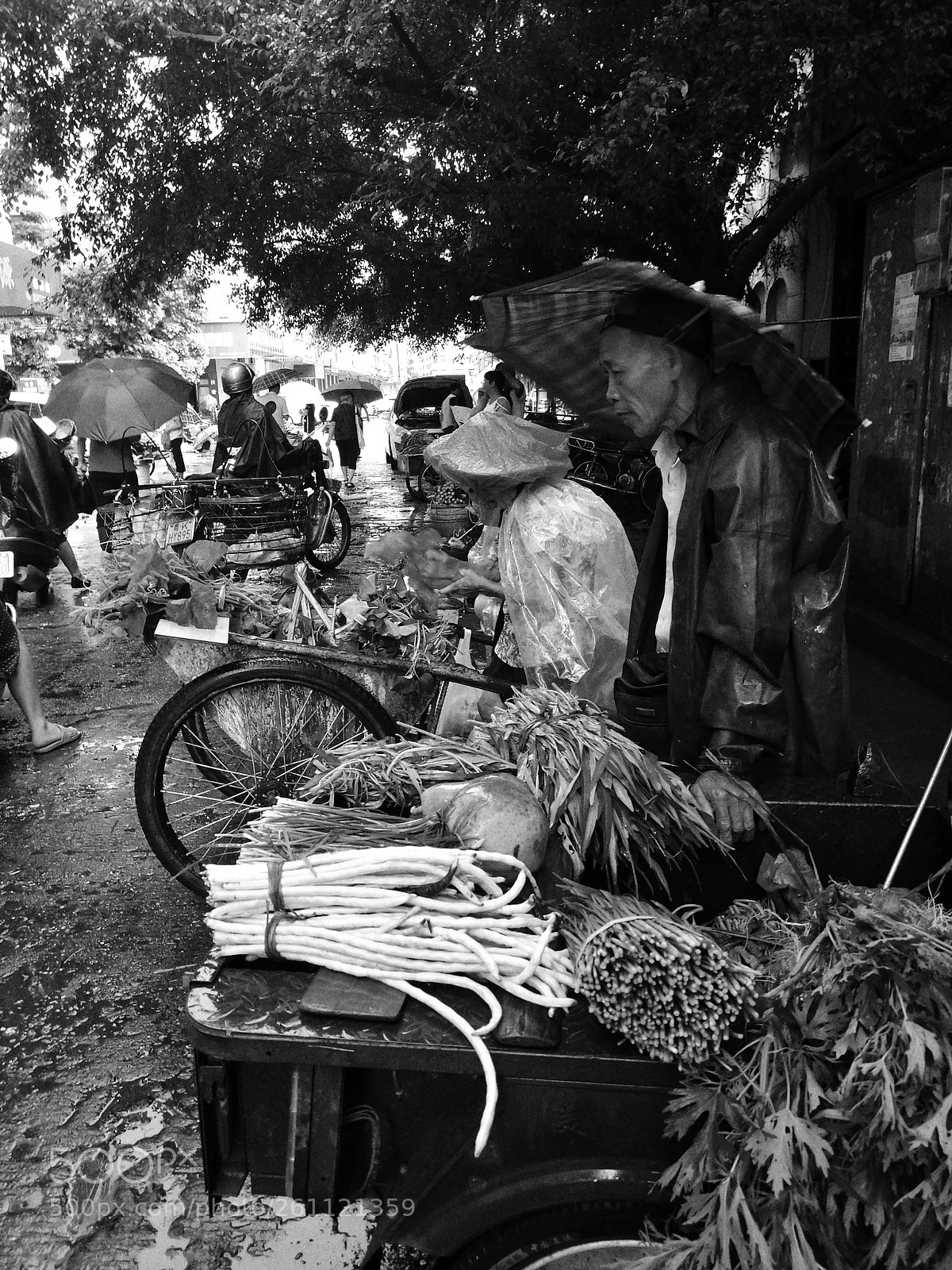 HUAWEI P9 sample photo. Untitled photography