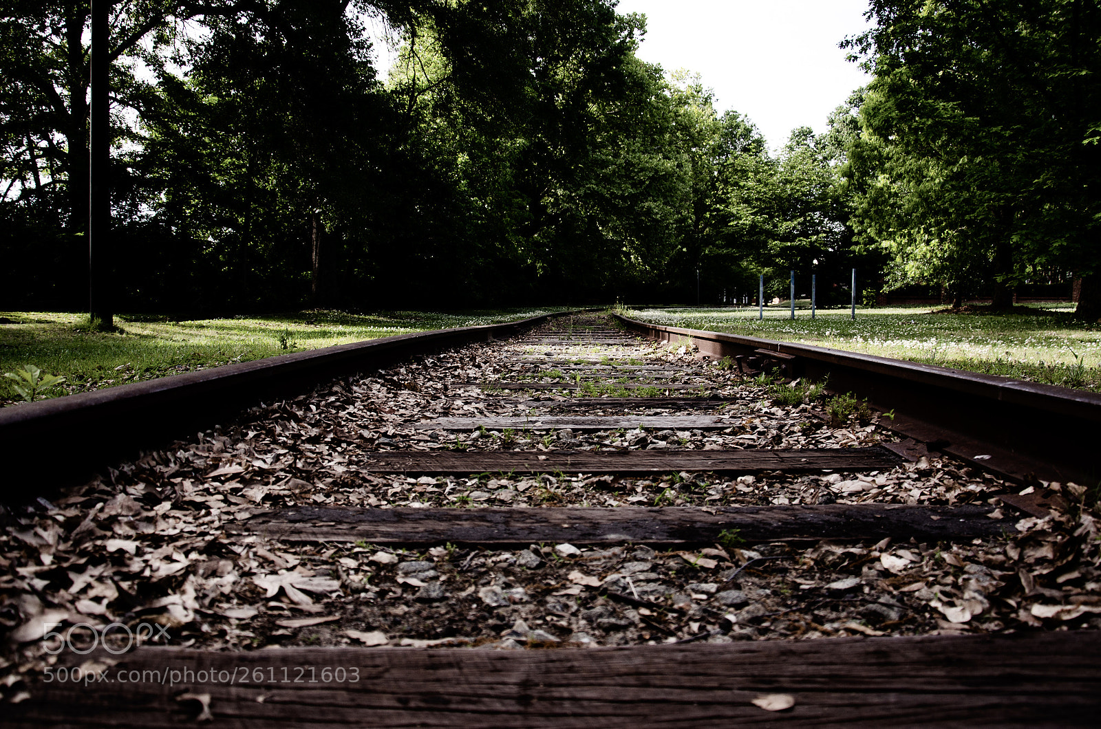 Nikon D7000 sample photo. Train tracks photography