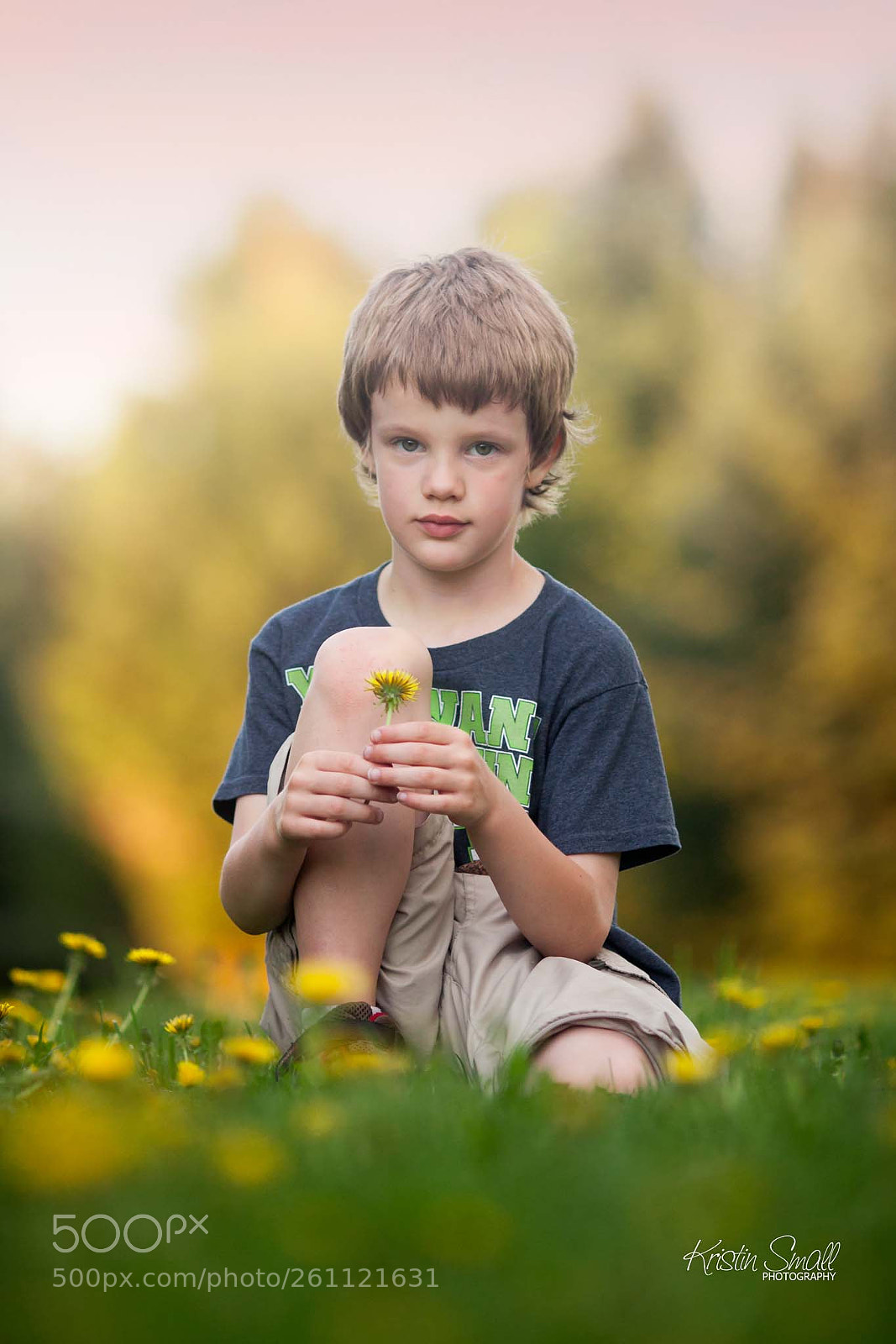 Canon EOS 5D Mark II sample photo. Dandelions photography