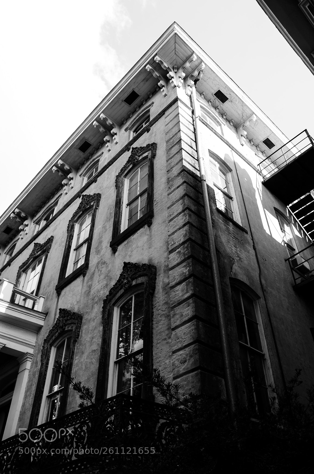 Nikon D7000 sample photo. High contrast photography