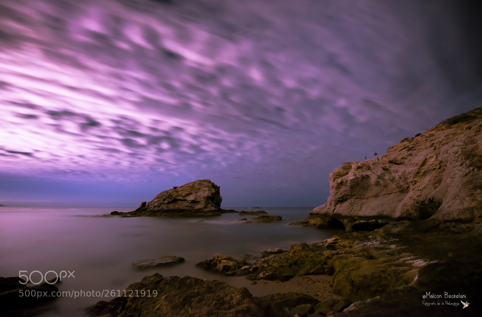 Nikon D800 sample photo. Ssp photography