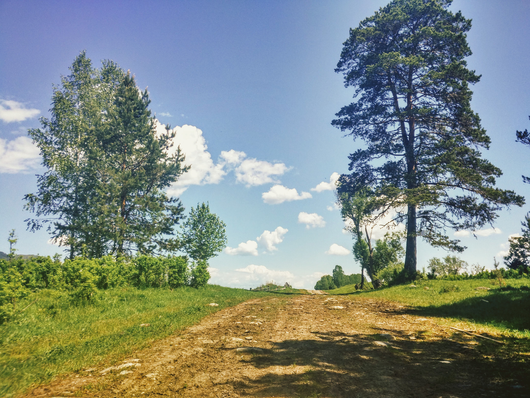 Xiaomi Mi-4c sample photo. Country road photography