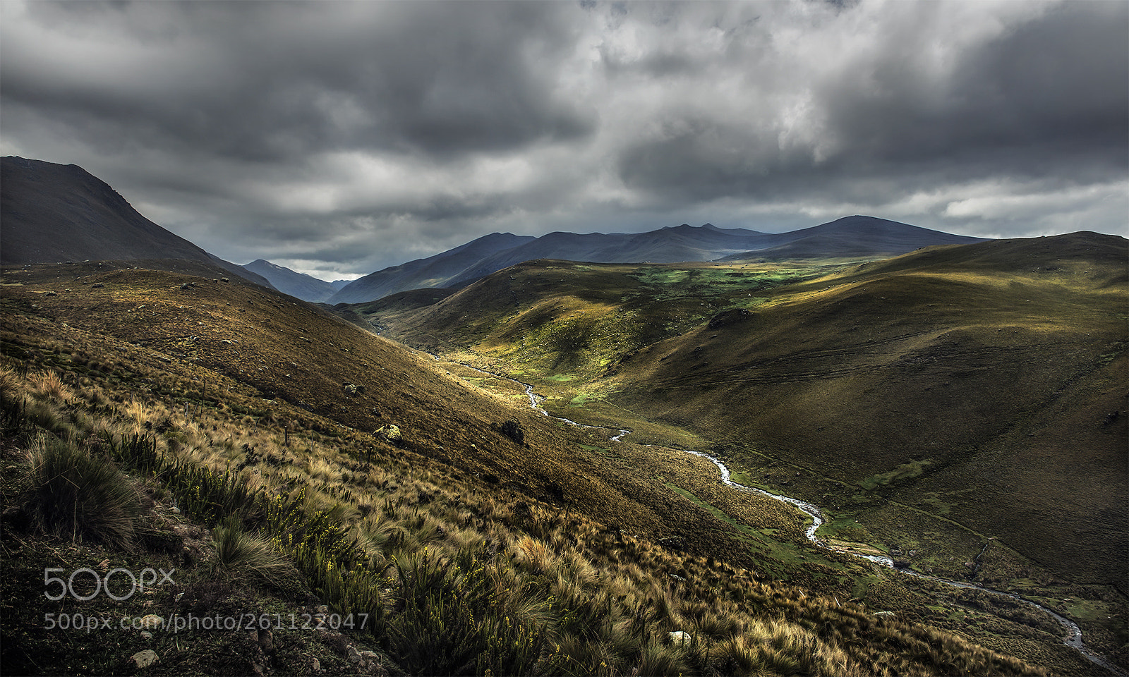 Nikon D610 sample photo. Culebrillas caÑar alto #3 photography