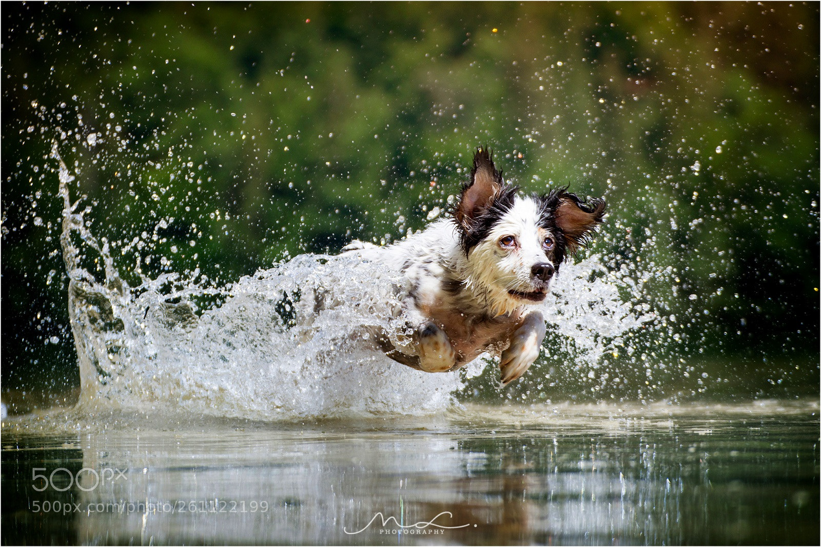 Nikon D7200 sample photo. Water bomb photography