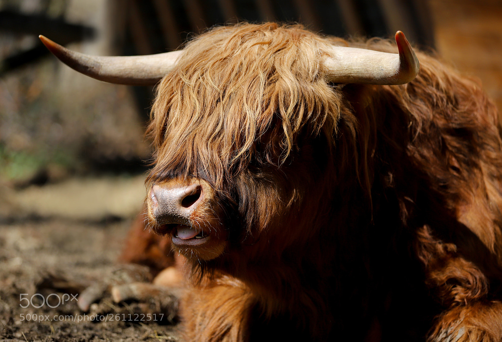 Canon EOS 6D Mark II sample photo. Much too hot photography