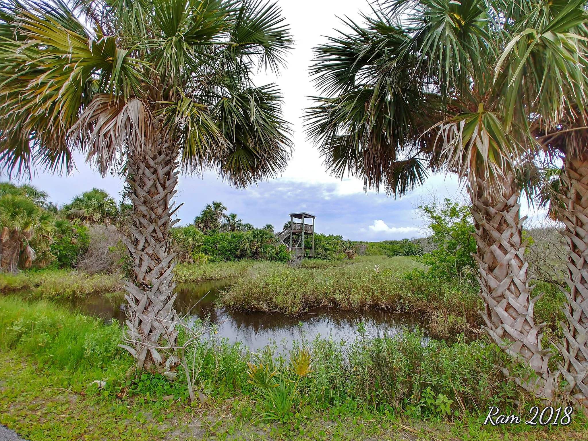 LG V30 sample photo. Ponce inlet photography