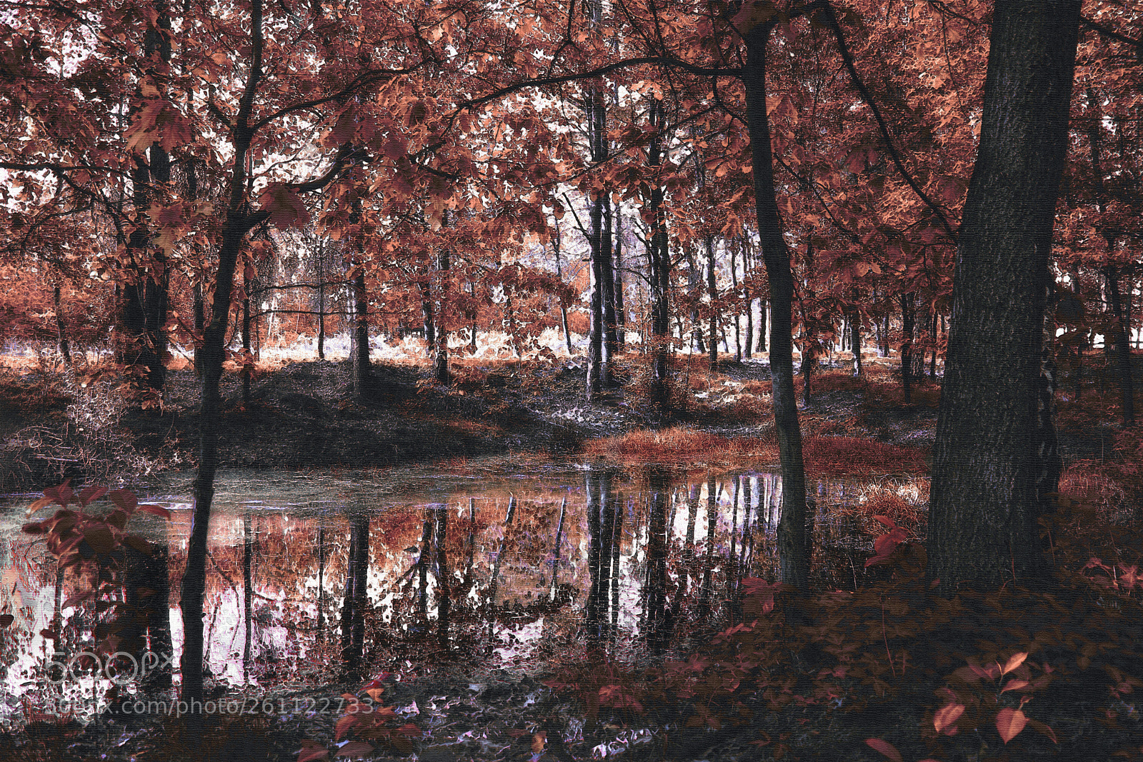Nikon D3300 sample photo. Painted reality - small photography