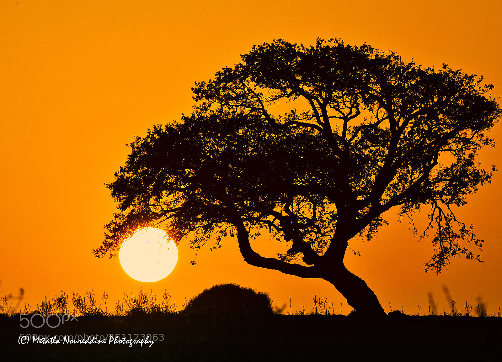 Nikon D700 sample photo. Sunset photography