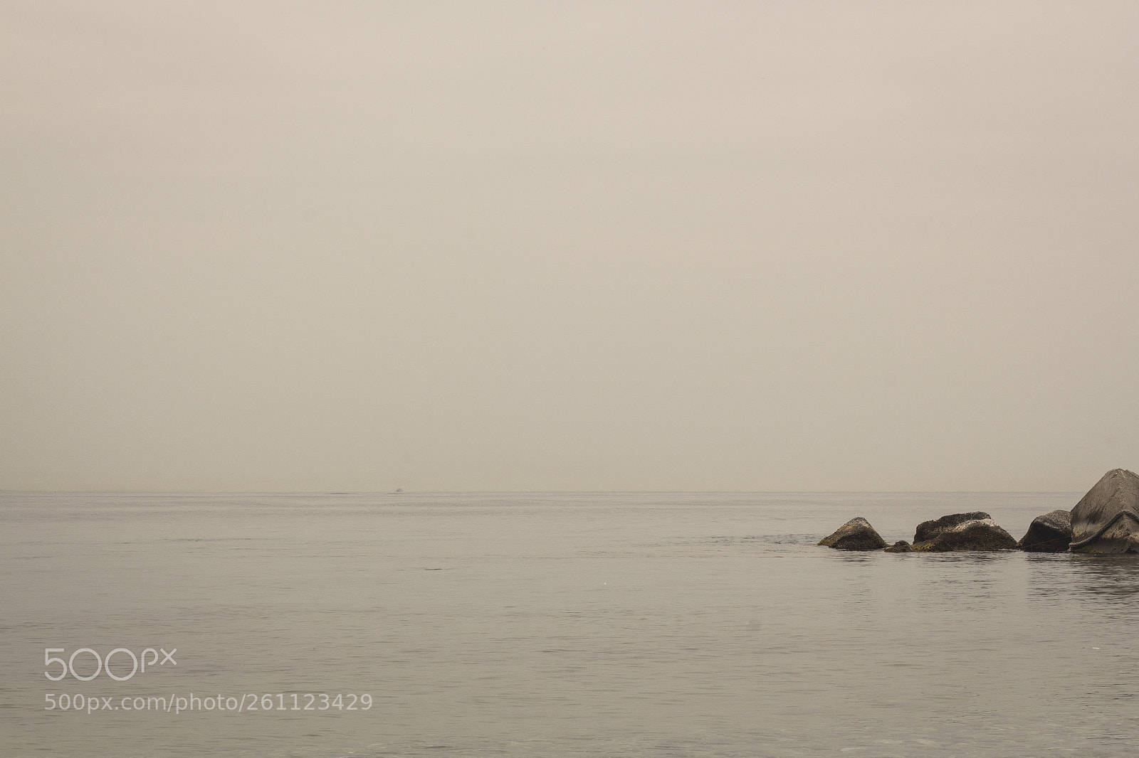 Canon EOS 550D (EOS Rebel T2i / EOS Kiss X4) sample photo. Just you and me photography