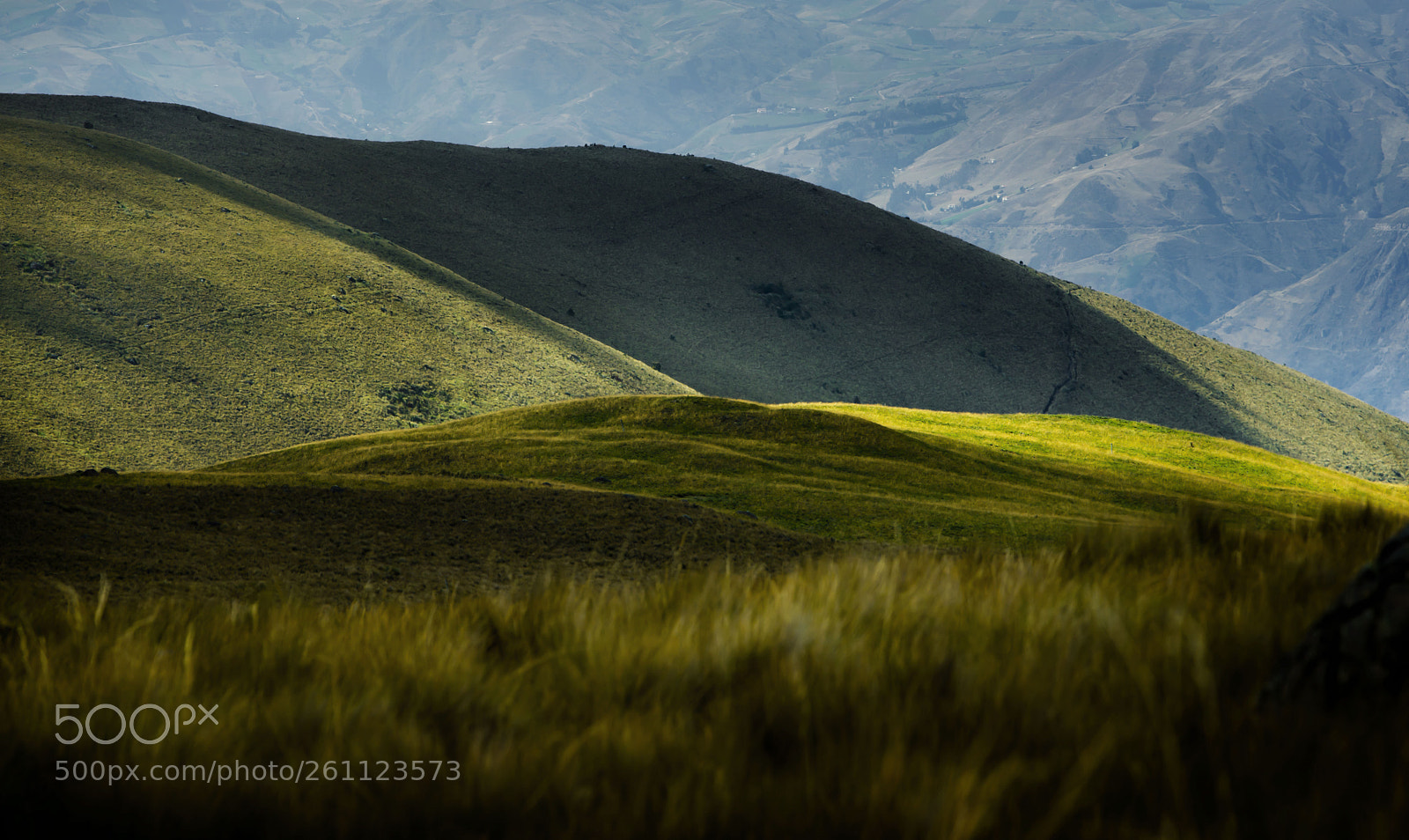 Nikon D610 sample photo. Cañar alto #15 photography