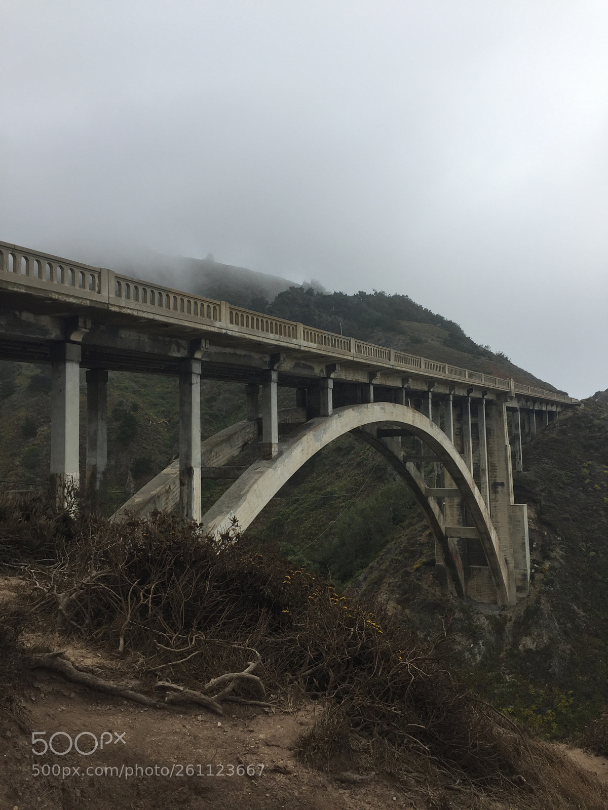 Apple iPhone 6 sample photo. California photography