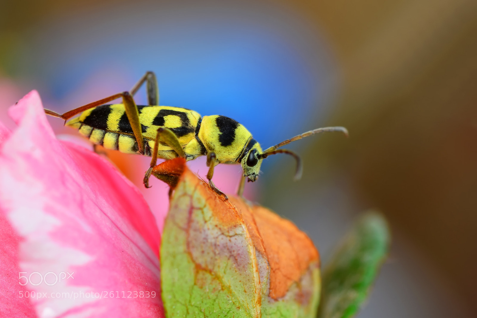 Nikon D7100 sample photo. Titan photography