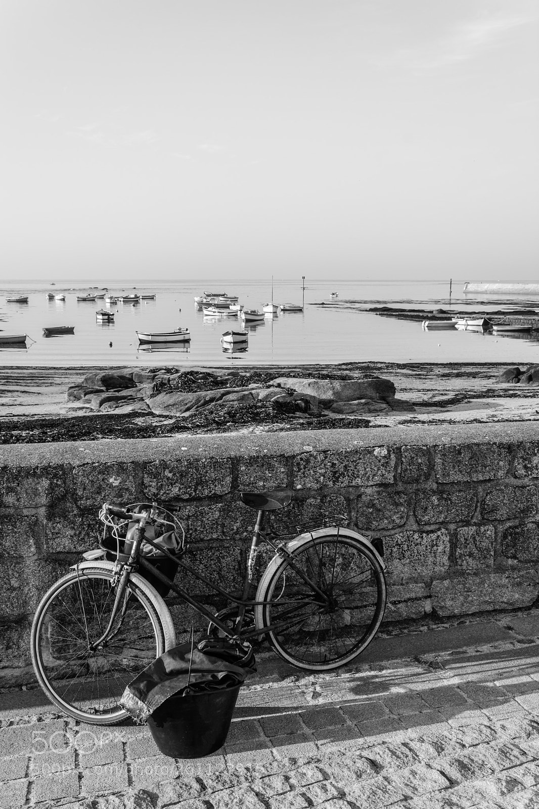Nikon D7100 sample photo. Untitled photography