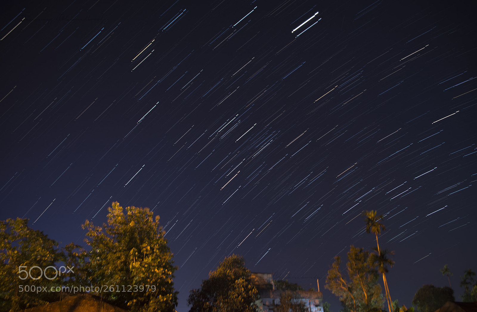 Nikon D7200 sample photo. The fall of stars photography