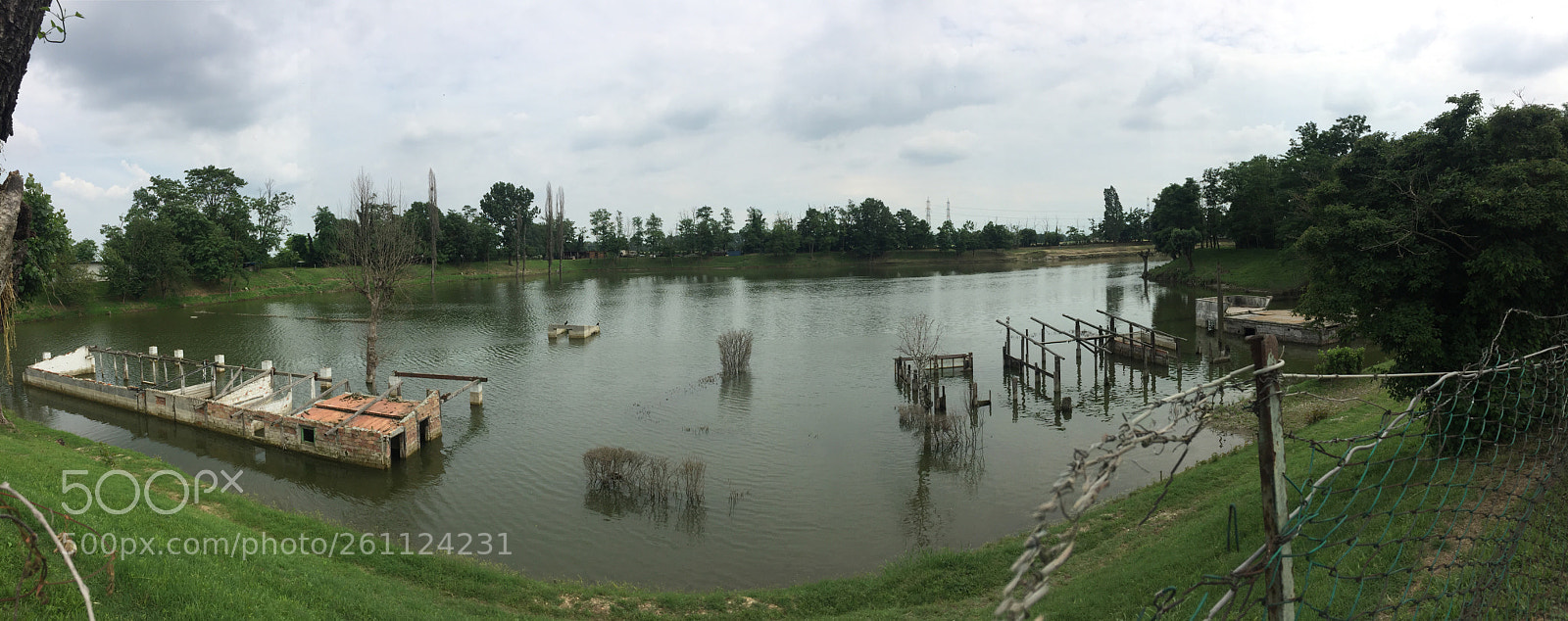 Apple iPhone 6 sample photo. Untitled photography