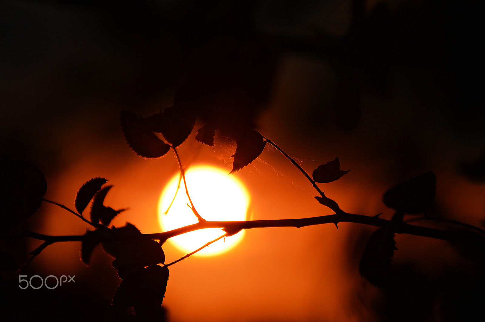 Nikon D3200 sample photo. Sunset @ hof photography