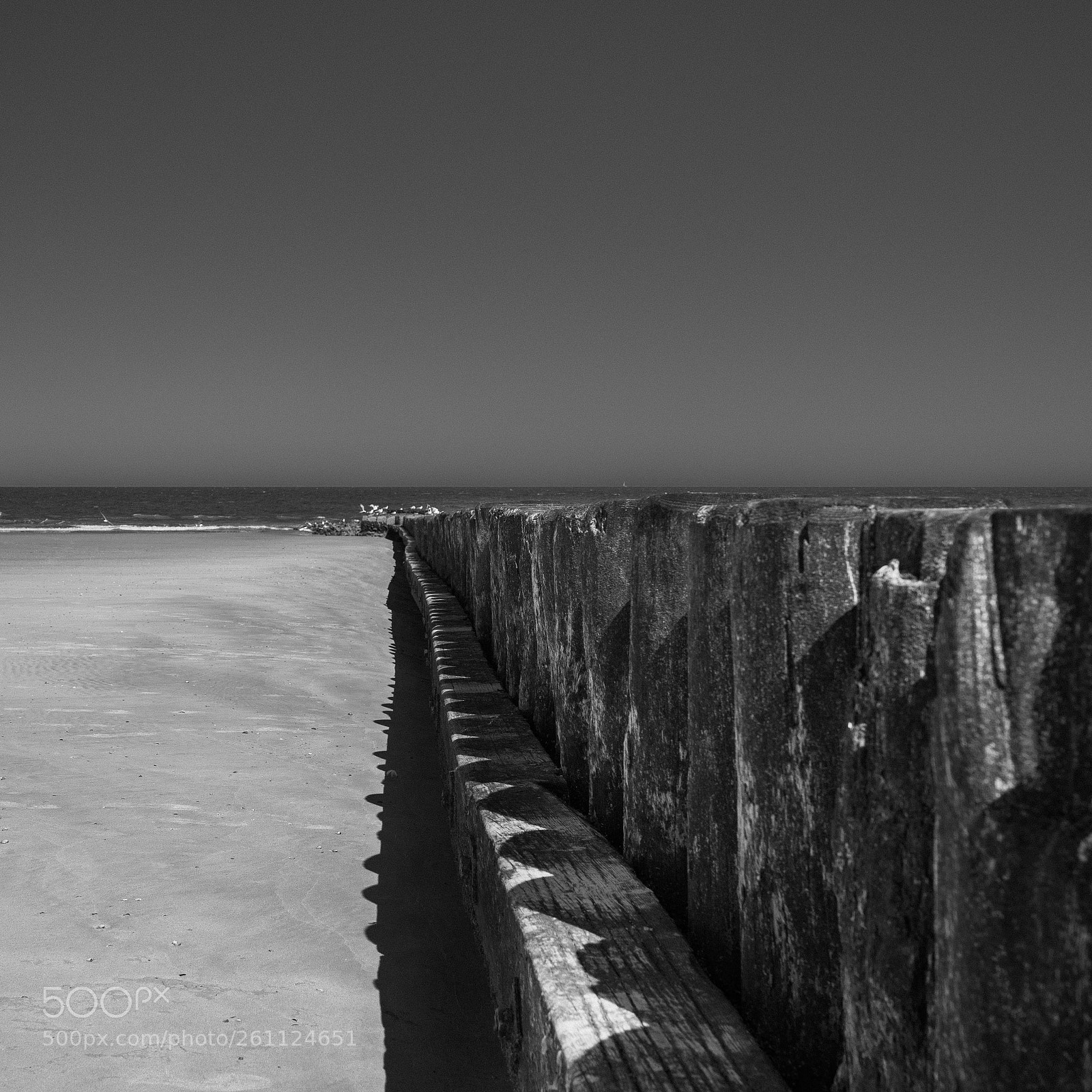 Nikon D810 sample photo. Northseascape photography