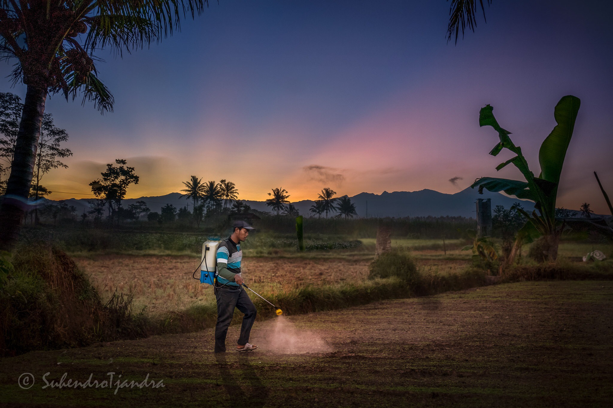 Sony a9 sample photo. Back to work photography