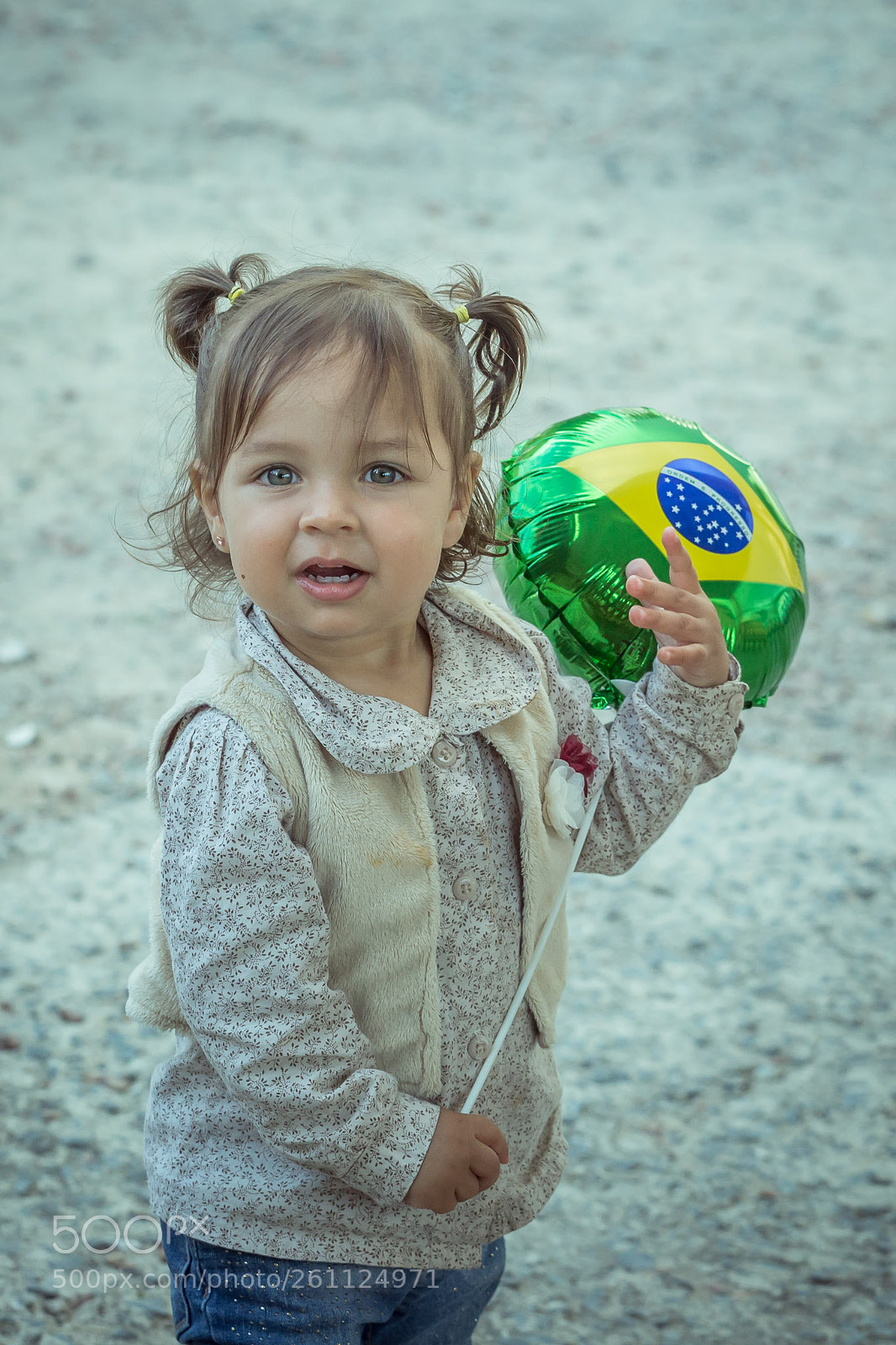 Canon EOS 6D sample photo. Brazilian fan photography