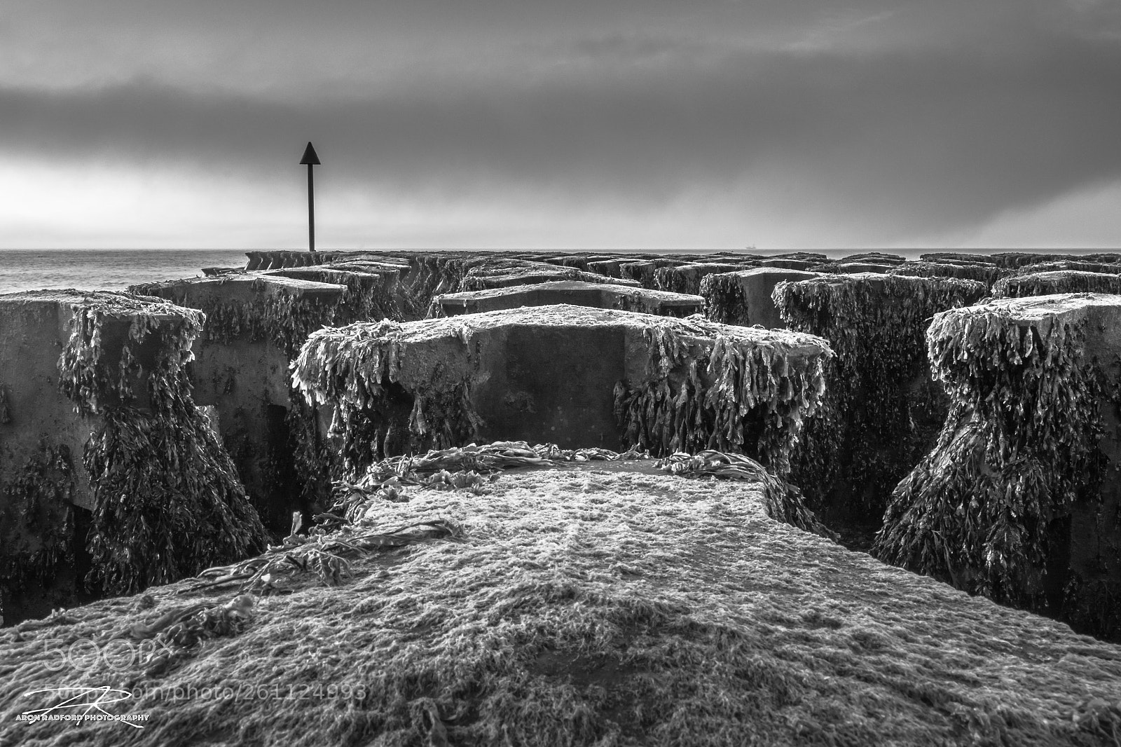 Nikon D7100 sample photo. Felixstowe b&w groynes photography