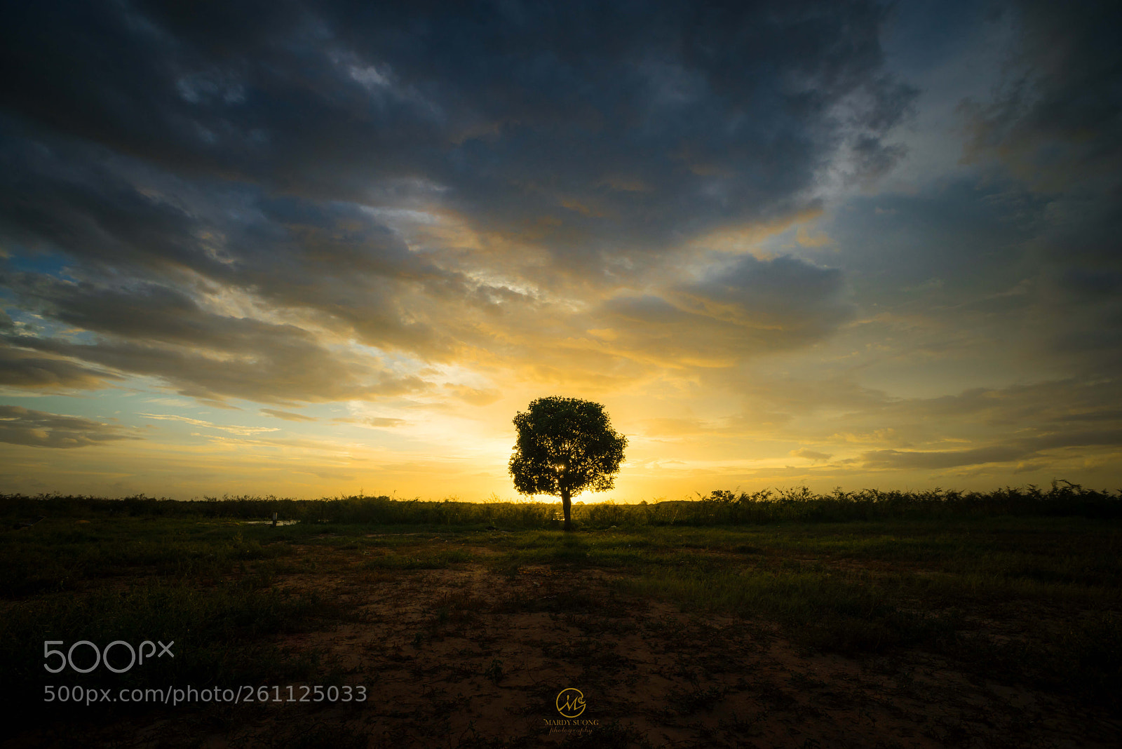 Sony a7R sample photo. ឯកោ ! lonely ! photography