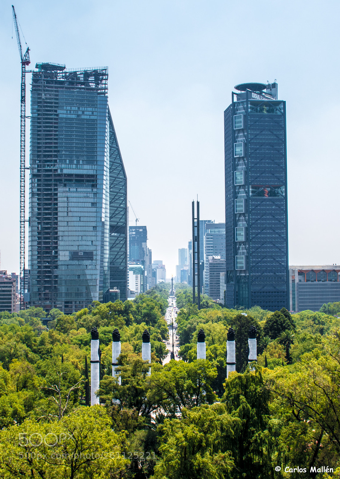 Nikon D5500 sample photo. Paseo de la reforma photography