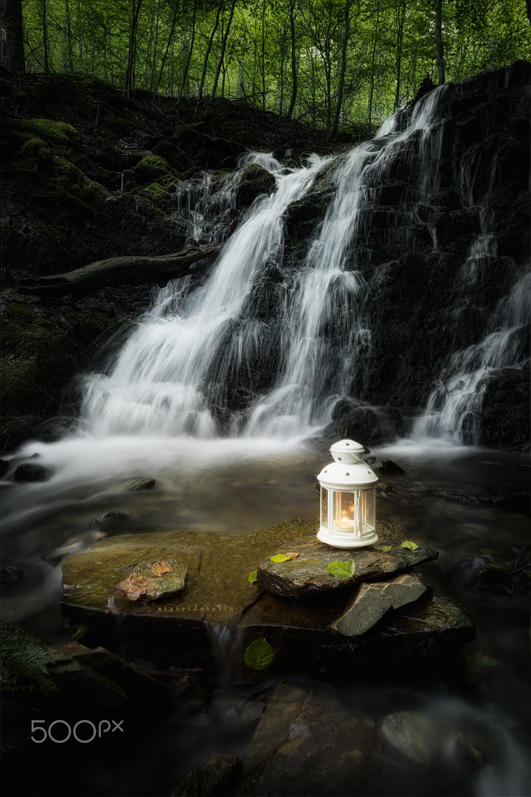 Pentax K-1 Mark II sample photo. A light for every shadow photography