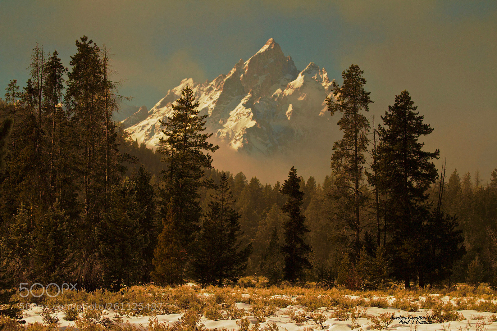 Canon EOS 7D sample photo. Morning fog photography