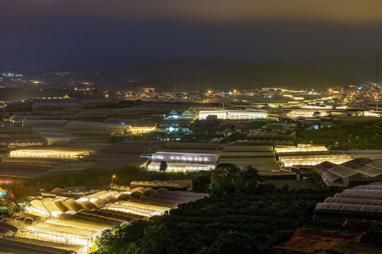 Sony a7 II sample photo. Night at the flower photography