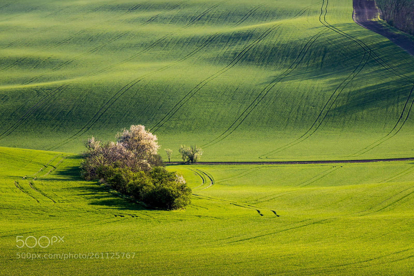 Canon EOS 6D Mark II sample photo. Between moravian waves photography