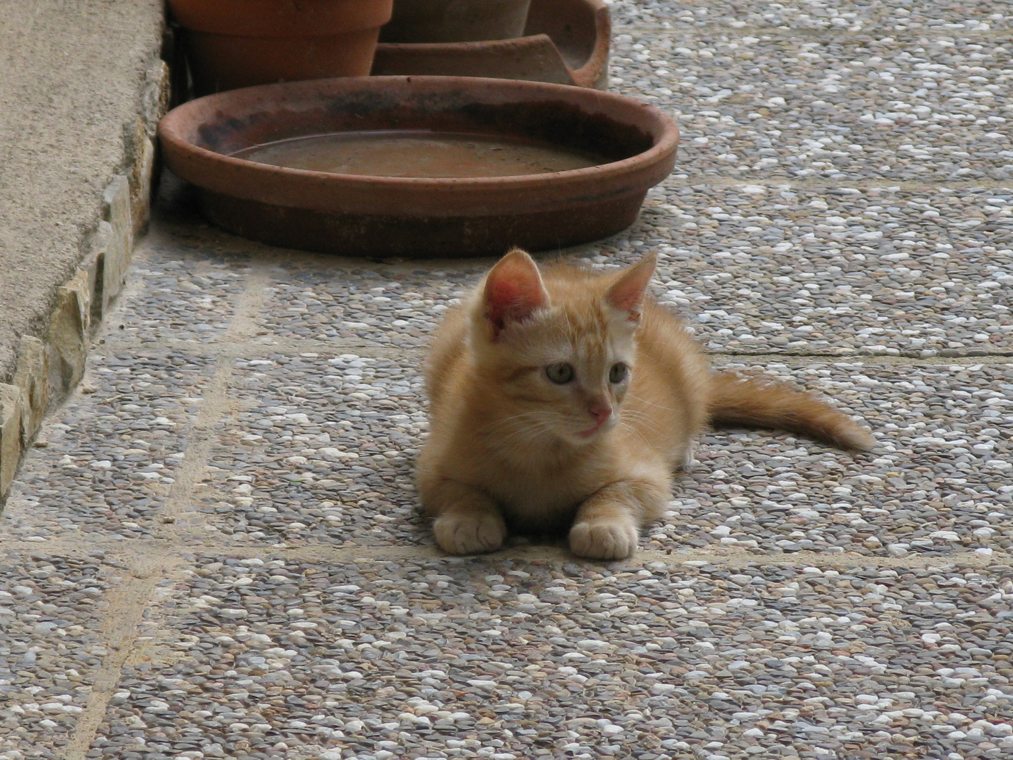 Canon POWERSHOT G9 sample photo. Nachito 01 photography
