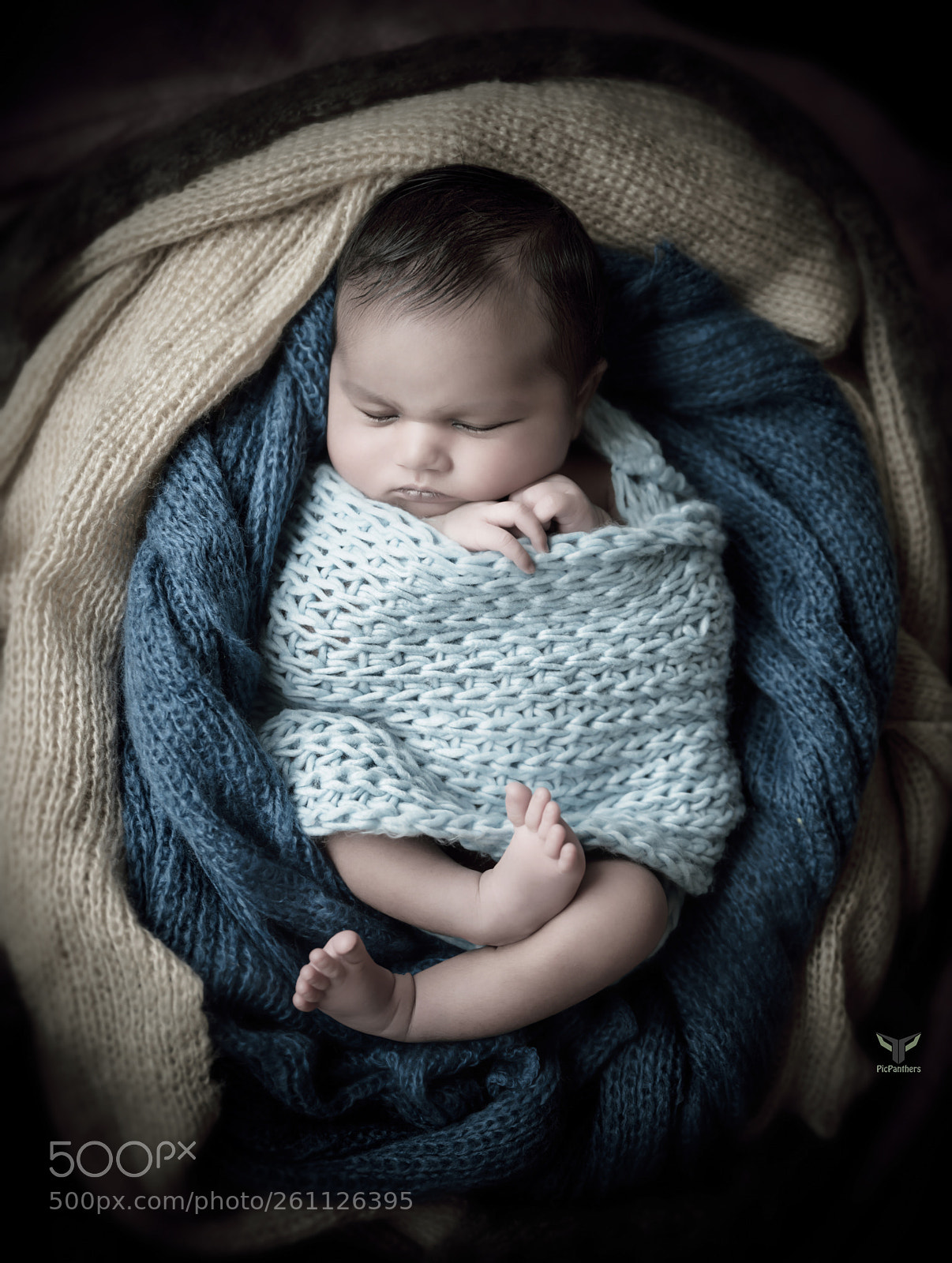 Nikon D810 sample photo. Sleep well photography