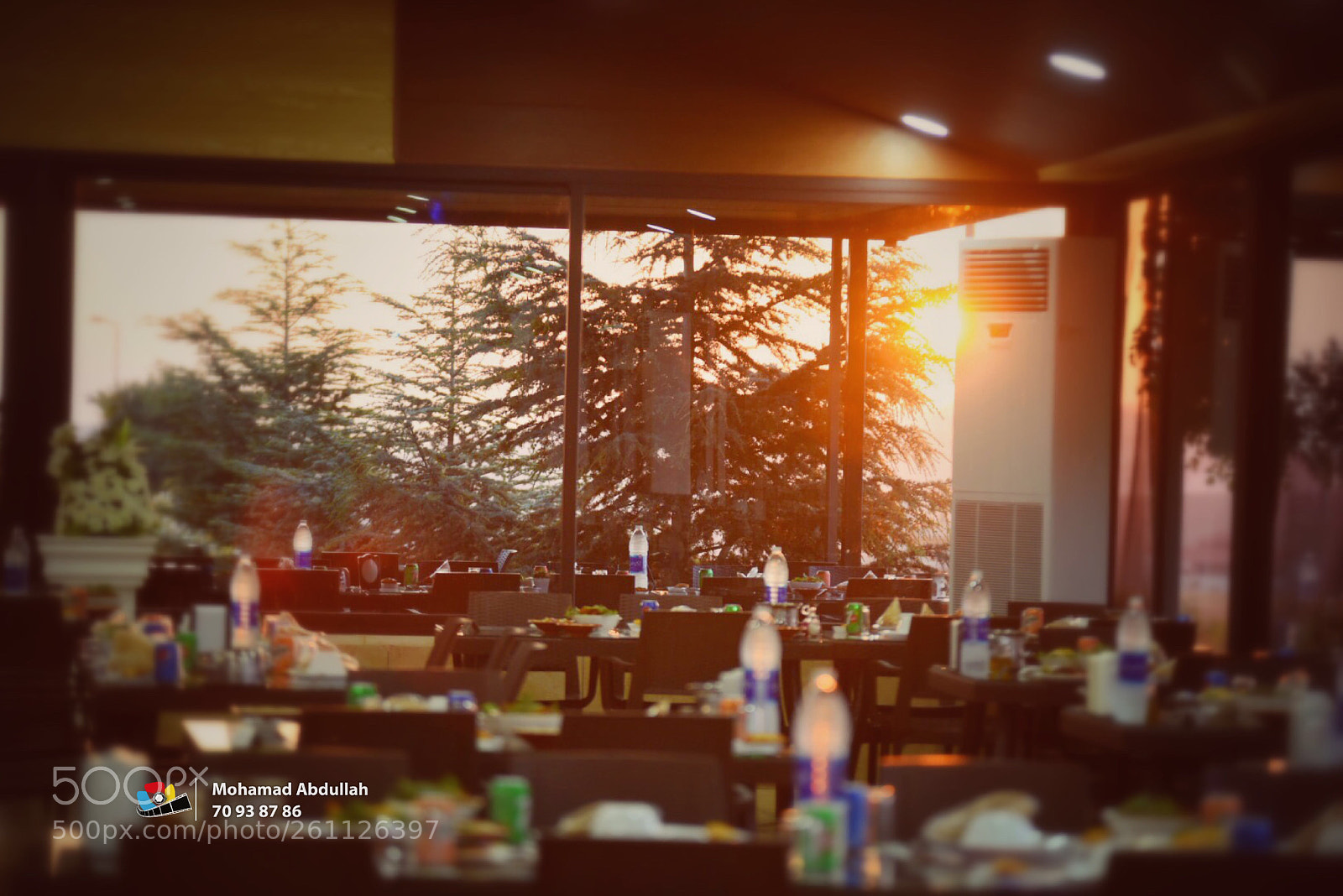 Nikon D750 sample photo. Untitled photography