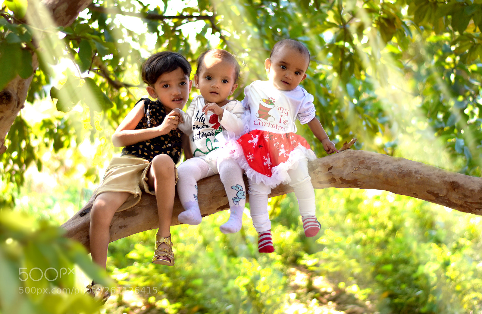 Nikon D5500 sample photo. Kerurozu riyu photography